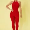 Fashion Nova Hunter Snatched Jumpsuit - Red 2 Fashion Nova Hunter Snatched Jumpsuit - Red -Fashion Nova Sales 06 08 22Studio5 CE DJ 11 57 20 29 JP2293FN Red 0286 JB